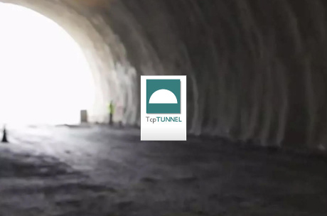 TCP TUNNEL SCAN. Licencia Anual